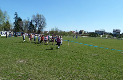 Mistrzostwa Biłgoraja w biegach przełajowych